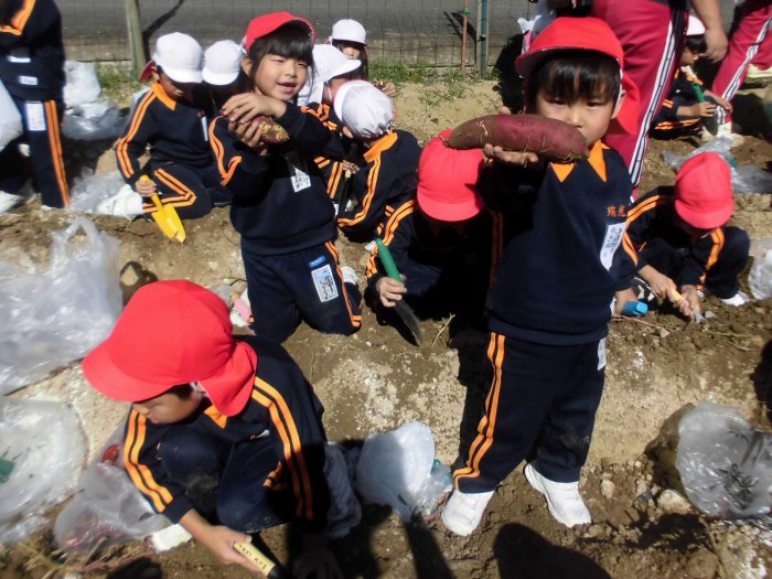 秋の遠足(年長)