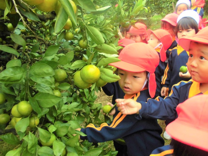 秋の遠足(年少・年中)
