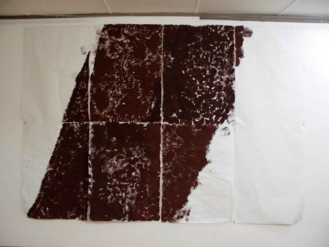 ���������̕ǖʂ̎ʐ^