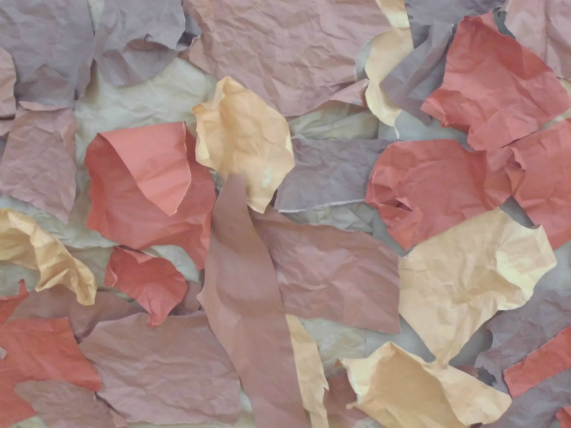 年少 ちゅうりっぷ